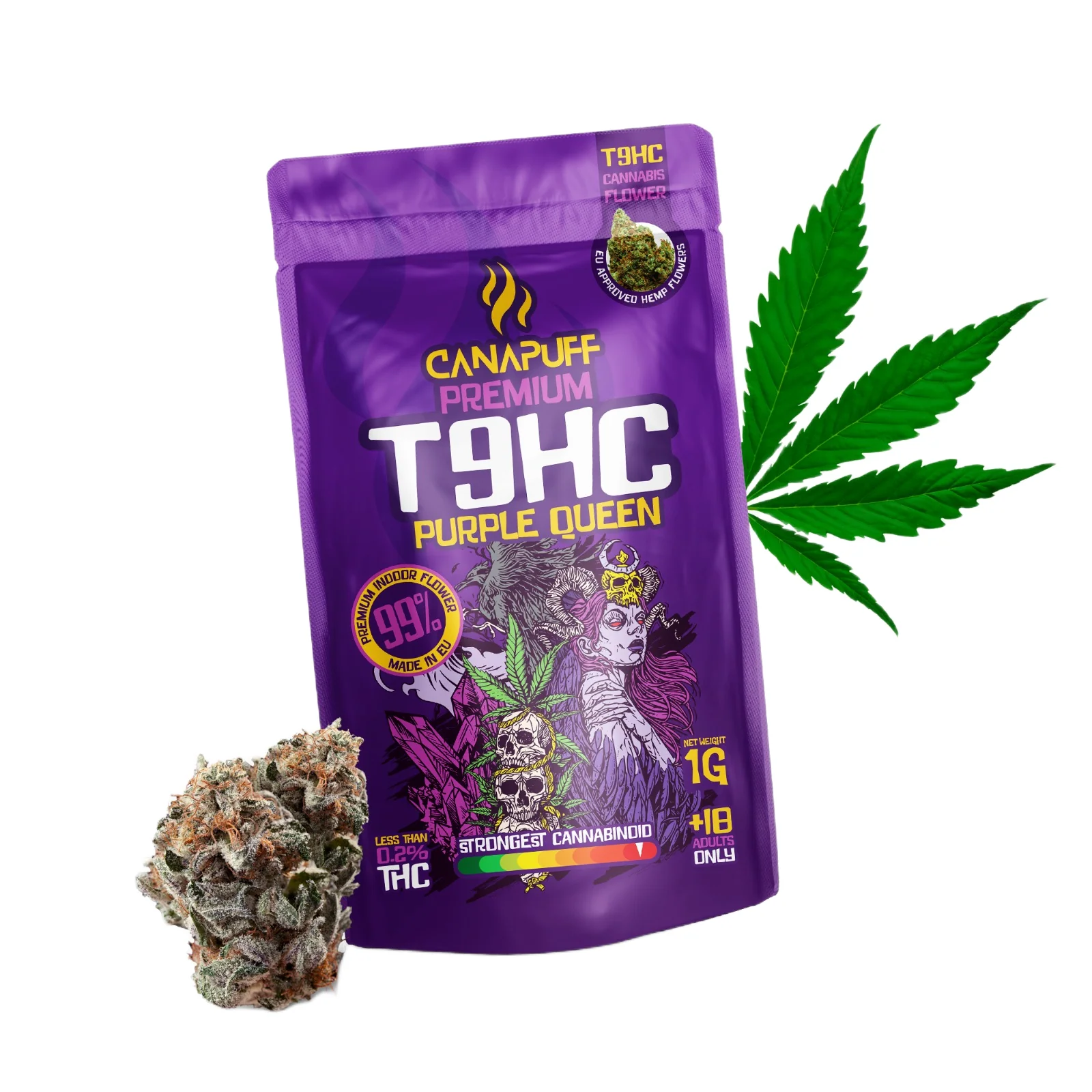 T9HC Blüten Purple Queen 99%